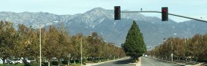  A wide view looking down a four-lane road heading into a peaceful town, with a single prominent evergreen tree standing in the center division, flanked by trees on both sides, while a majestic mountain range rises tall and clear under soft clouds in the background.