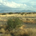 A beautiful mountain range standing tall in the far background behind a wide open field along a scenic West Coast journey.