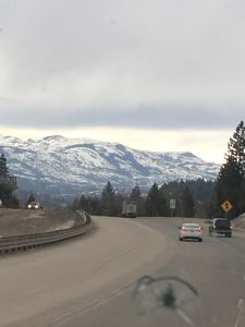 A traveler's photograph capturing a clear curving asphalt road with snow covered mountains in the background and a line of evergreen trees