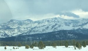 A serene view of a snow-capped mountain range under a clear sky, with a crisp, detailed close-up of pure winter snow filling the right-hand side.