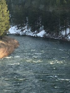  A beautiful river perspective looking out from the bank at moderate rapids, with a dense forest of evergreen trees and fresh snow covering the opposite side of the water.