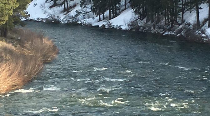 A beautiful river perspective looking out from the bank at moderate rapids, with a dense forest of evergreen trees and fresh snow covering the opposite side of the water.