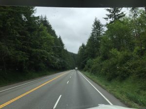 A road-trip perspective looking down an open highway with a dense forest of tall evergreen trees lining both sides of the road under a clear sky.