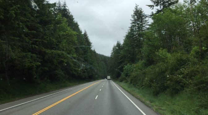 A road-trip perspective looking down an open highway with a dense forest of tall evergreen trees lining both sides of the road under a clear sky.