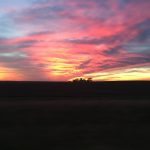 A beautiful dusk sunset showing a vast sky filled with gold, pink, and light blue clouds casting a soft glow over a quiet landscape.