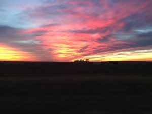 A beautiful dusk sunset showing a vast sky filled with gold, pink, and light blue clouds casting a soft glow over a quiet landscape.