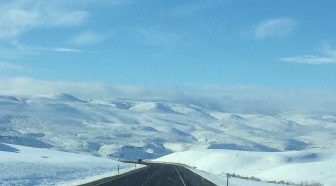 Fruition: A Powerful Prayer of Thankfulness
