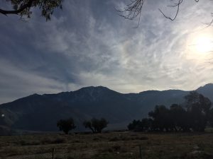 A beautiful photograph of a wide open field with majestic mountains in the background, a few peaceful trees, and a big sun shining in the right corner under a dark sky.