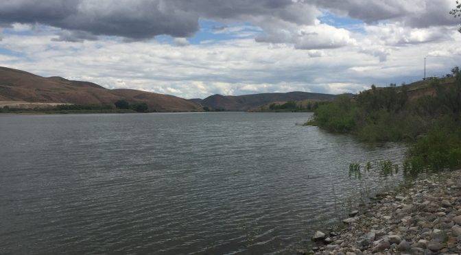 A beautiful body of water with low mountains sitting on the horizon in the near distance under a clear sky.