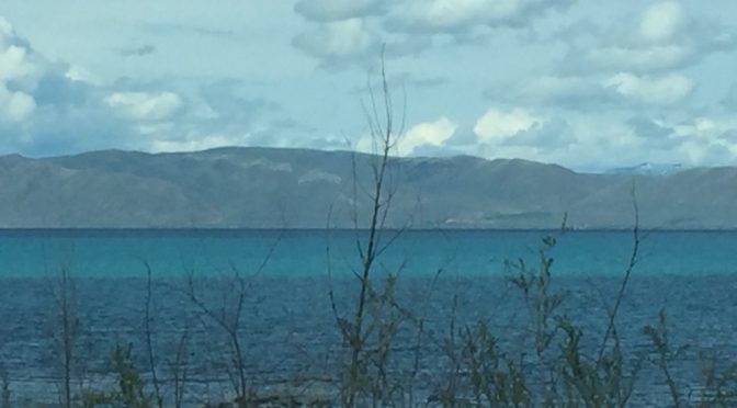 A serene view looking across a calm blue lake with a few weeds in the foreground, facing a majestic mountain range on the opposite shore.