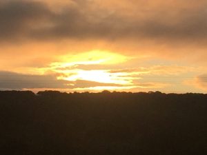 A vast open field stretching under a beautiful sunset sky filled with rich gold, orange, and soft pink clouds.