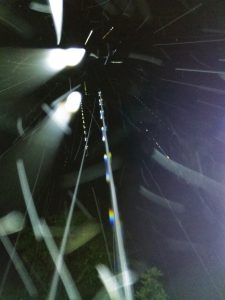 An incredible night photo showcasing big, bright beams of light reflecting off atmospheric particles for the writing Most are in my state of being.