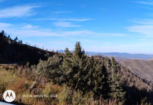 A beautiful close-up of a green evergreen tree standing in a quiet front field with a majestic mountain range resting under a vast, bright blue sky in New Mexico.