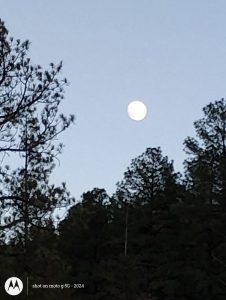 A beautiful big moon shining over evergreen trees in the mountains of New Mexico to materialize the reality of a quiet spiritual sanctuary.