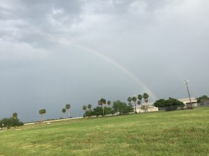 A beautiful wide green grass field lined with tall palm trees under a clearing sky featuring a vibrant, radiant rainbow arching gracefully overhead.