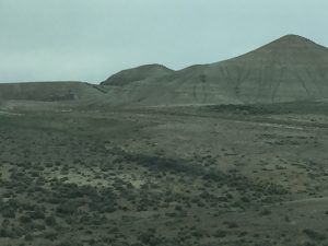 A wide desert field covered in sparse green brush and rough terrain, leading up to a large, rugged mountain range in the background under a solid, heavy overcast sky with no visible clouds.