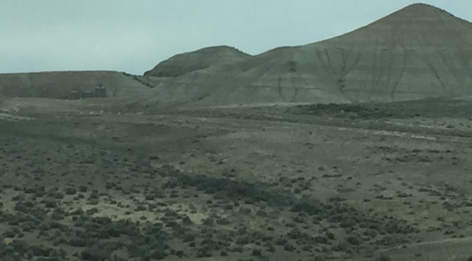 • A wide desert field covered in sparse green brush and rough terrain, leading up to a large, rugged mountain range in the background under a solid, heavy overcast sky with no visible clouds.